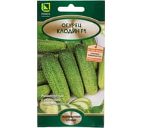 Огурец Агрохолдинг ПОИСК Клодин F1 10шт 687595