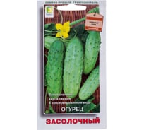 Огурец Агрохолдинг ПОИСК Засолочный 15шт 390974