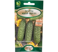 Огурец Агрохолдинг ПОИСК Амур 1801F1 10шт 673386