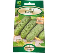 Огурец Агрохолдинг ПОИСК Бьерн F1 5шт 830473