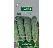 Огурец Агрохолдинг ПОИСК Величавый F1 (А) 12шт 831786