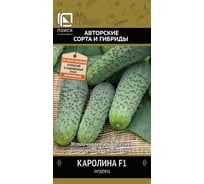 Огурец Агрохолдинг ПОИСК Каролина F1 (А) 12шт 400028