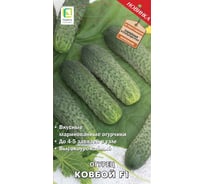 Огурец Агрохолдинг ПОИСК Ковбой F1 (А) 12шт 733204