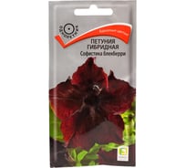 Петуния гибридная Агрохолдинг ПОИСК Софистика Блекберри 5шт 690008