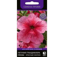 Петуния грандифлора Агрохолдинг ПОИСК призм Красные Жилки 30шт 700940
