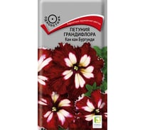 Петуния грандифлора Агрохолдинг ПОИСК Кан кан бургунди 10шт 420313