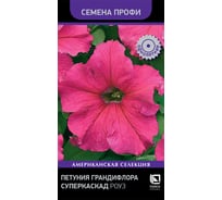 Петуния грандифлора Агрохолдинг ПОИСК Суперкаскад Роуз 10шт 825736