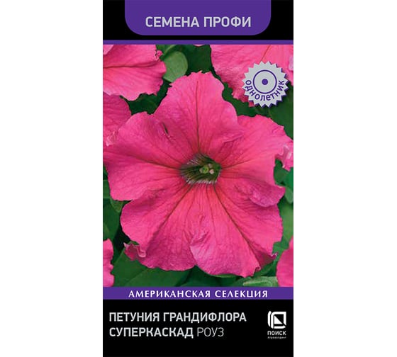 Петуния грандифлора Агрохолдинг ПОИСК Суперкаскад Роуз 10шт 825736 1