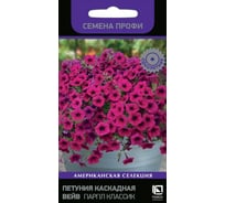 Петуния Агрохолдинг ПОИСК каскадная Вейв Парпл Классик 5шт 816770
