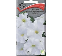 Петуния крупноцветковая Агрохолдинг ПОИСК Пуваб F1 20шт 420524