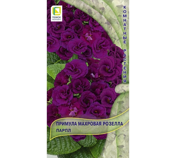 Примула махровая Агрохолдинг ПОИСК Розелла Парпл 5шт 779545 1