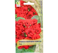 Примула махровая Агрохолдинг ПОИСК Розелла Ред 5шт 779549