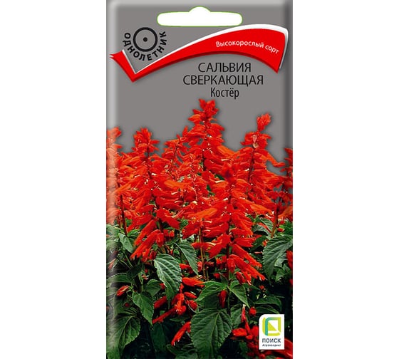 Сальвия Агрохолдинг ПОИСК сверкающая Костер 0,1гр 730951 1