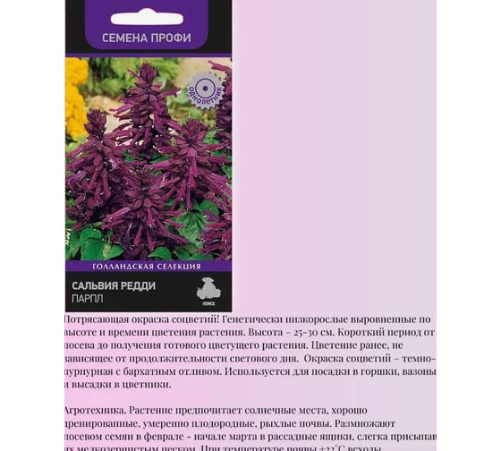 Сальвия Агрохолдинг ПОИСК Редди Парпл 10шт 700958