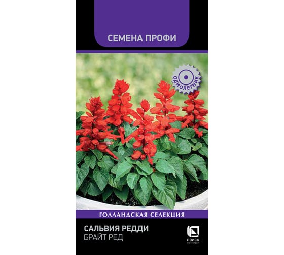 Сальвия Агрохолдинг ПОИСК Редди Брайт Ред 10шт 827358 1