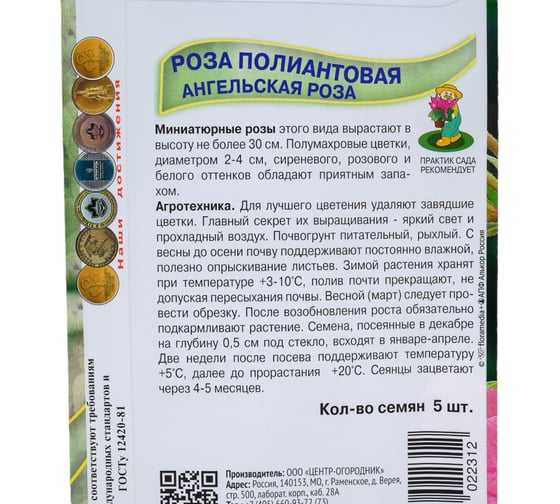 Роза полиантовая Ангельская роза 5шт 450844