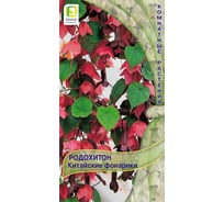 Родохитон Китайские фонарики 5шт 450377