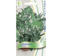 Филодендрон селло Агрохолдинг ПОИСК 3шт 560819