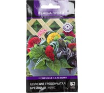 Целозия гребенчатая Агрохолдинг ПОИСК Брейниак Микс 5шт 827291