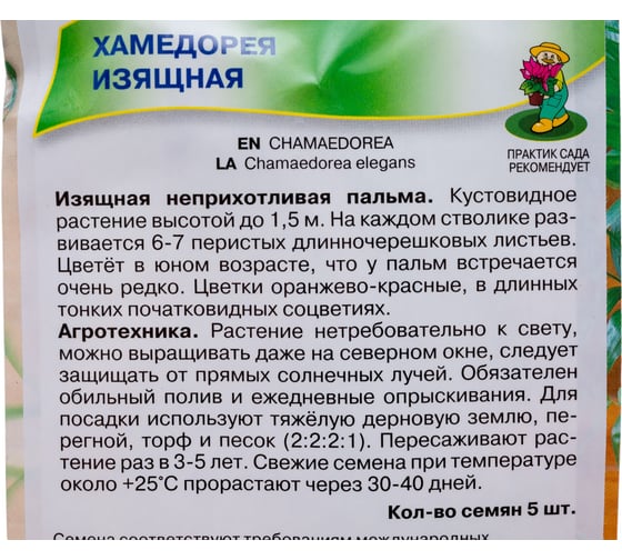 Хамедорея Изящная 5шт 570682