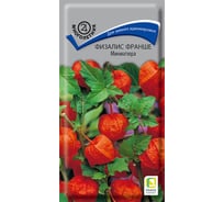 Физалис Агрохолдинг ПОИСК Франше Миниатюра 0,1гр 560800