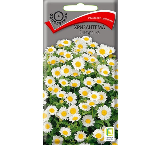 Хризантема Агрохолдинг ПОИСК Снегурочка 30шт 701906 1
