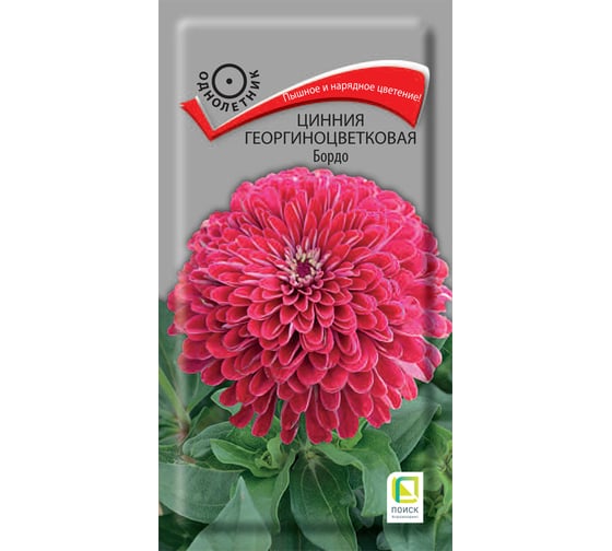 Цинния Агрохолдинг ПОИСК георгиноцветковая Агрохолдинг ПОИСК Бордо 0,4гр 797361 1