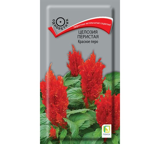 Целозия перистая Агрохолдинг ПОИСК Красное перо 0,1гр 580731 1
