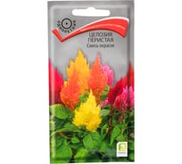 Целозия перистая Агрохолдинг ПОИСК Смесь окрасок 0,1гр 580737
