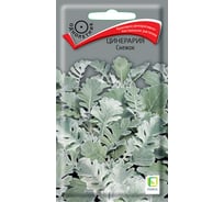 Цинерария Агрохолдинг ПОИСК Снежок 0,1гр 701761