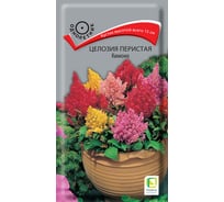 Целозия перистая Агрохолдинг ПОИСК Кимоно 0,1гр 580708