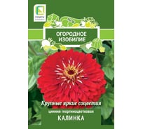 Цинния Агрохолдинг ПОИСК георгиноцветковая Агрохолдинг ПОИСК Калинка 0,4гр ОИ 816975