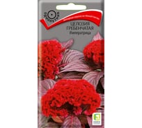 Целозия гребенчатая Агрохолдинг ПОИСК Императрица 0,1гр 580683