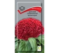 Целозия гребенчатая Агрохолдинг ПОИСК Красный коралл 0,05гр 832834