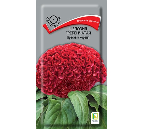 Целозия гребенчатая Агрохолдинг ПОИСК Красный коралл 0,05гр 832834 1