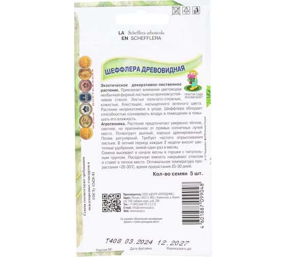 Шеффлера древовидная . 5шт 813068