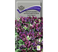 Черноголовка крупноцветковая Смесь окрасок 25шт 590223
