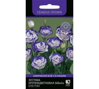 Эустома крупноцветковая Агрохолдинг ПОИСК ЭйБиСи Блю Рим 10шт 797383