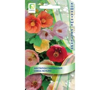 Абутилон гибридный Агрохолдинг ПОИСК Смесь Бельвю 0,1гр 120526