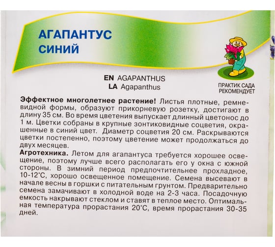 Агапантус Агрохолдинг ПОИСК Синий 3шт 838762