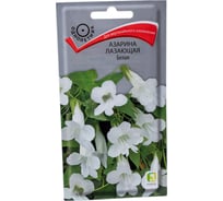 Азарина лазающая Агрохолдинг ПОИСК Белая 10шт 832682