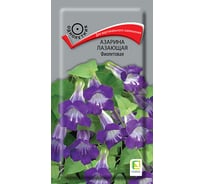 Азарина лазающая Агрохолдинг ПОИСК Фиолетовая 10шт 832693