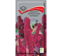 Амарант метельчатый Агрохолдинг ПОИСК Ред Кафедрал 0,1гр 130407
