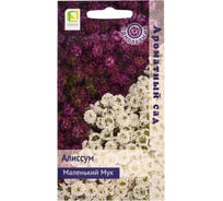 Алиссум Агрохолдинг ПОИСК Маленький Мук 0,3гр 712452