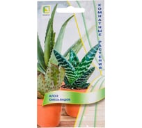 Алоэ Агрохолдинг ПОИСК Смесь видов 10шт ЧБ 838764