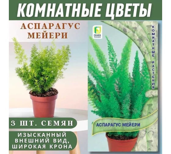 Аспарагус Агрохолдинг ПОИСК Мейери 3шт 140177