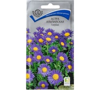 Астра альпийская Агрохолдинг ПОИСК Голубая 0,04гр 140662