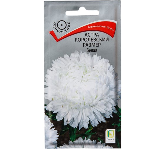 Астра королевский размер Агрохолдинг ПОИСК Белая 0,1гр 140892 1