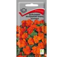 Бальзамин Маленький принц Агрохолдинг ПОИСК Оранжевый 0,02гр 797243