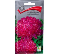 Астра Агрохолдинг ПОИСК пионовидная Седая дама красная 0,3гр 150266